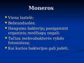 Išvardyti gamtinės atrankos formas 13 puslapis