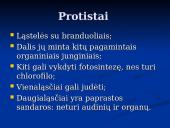 Išvardyti gamtinės atrankos formas 16 puslapis