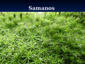 Išvardyti gamtinės atrankos formas 20 puslapis