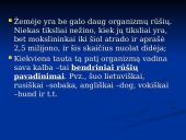 Išvardyti gamtinės atrankos formas 5 puslapis