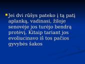 Išvardyti gamtinės atrankos formas 10 puslapis