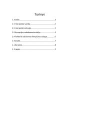 Kas yra korupcija? 2 puslapis