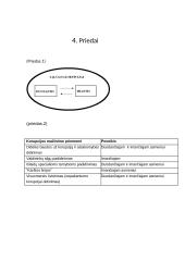 Kas yra korupcija? 8 puslapis