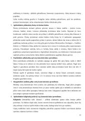 120 klausimų su atsakymais apie skirtingus architektūros laikotarpius ir jų bruožus. 12 puslapis