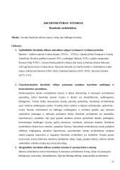 120 klausimų su atsakymais apie skirtingus architektūros laikotarpius ir jų bruožus. 20 puslapis
