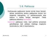 Ekonomika pasiūla ir paklausa 12 puslapis