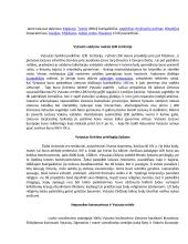 Vytautas Didysis referatas 5 puslapis