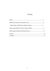 Darbų saugos reikalavimai remontuojant ir dokuojant laivą referatas 2 puslapis