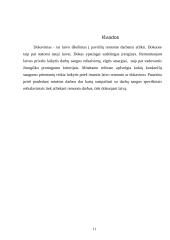 Darbų saugos reikalavimai remontuojant ir dokuojant laivą referatas 11 puslapis