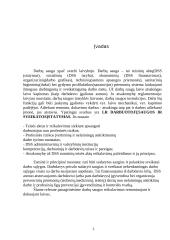 Darbų saugos reikalavimai remontuojant ir dokuojant laivą referatas 3 puslapis