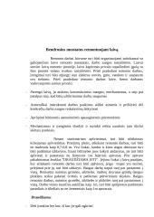Darbų saugos reikalavimai remontuojant ir dokuojant laivą referatas 4 puslapis