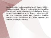 Bežemių literatūra 4 puslapis