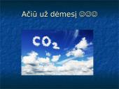 Oro tarša, kaip apsisaugoti nuo oro taršos 12 puslapis