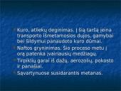 Oro tarša, kaip apsisaugoti nuo oro taršos 3 puslapis