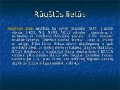 Oro tarša, kaip apsisaugoti nuo oro taršos 4 puslapis