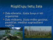 Oro tarša, kaip apsisaugoti nuo oro taršos 6 puslapis