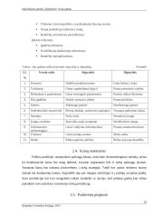 Įmonės „Bandelinė“ verslo planas 12 puslapis