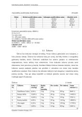 Įmonės „Bandelinė“ verslo planas 19 puslapis