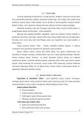 Įmonės „Bandelinė“ verslo planas 6 puslapis