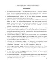 Kalbos klaidų taisymas ir apibendrinimas rašytiniuose specialybės tekstuose referatas 4 puslapis