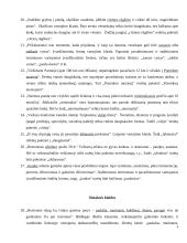 Kalbos klaidų taisymas ir apibendrinimas rašytiniuose specialybės tekstuose referatas 6 puslapis