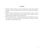 Kalbos klaidų taisymas ir apibendrinimas rašytiniuose specialybės tekstuose referatas 8 puslapis
