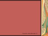 Švietimo epochos literatūra 13 puslapis