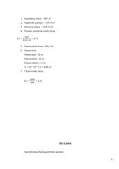 Gamybinis baldų pastatas 11 puslapis