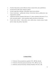 Gamybinis baldų pastatas 12 puslapis