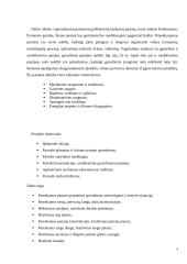 Gamybinis baldų pastatas 3 puslapis