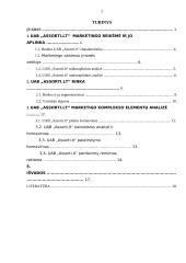 UAB „Assorti.Lt“ marketingo veiklos analizė 2 puslapis