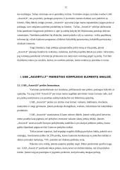 UAB „Assorti.Lt“ marketingo veiklos analizė 12 puslapis