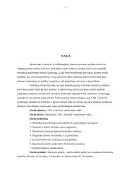 UAB „Assorti.Lt“ marketingo veiklos analizė 3 puslapis