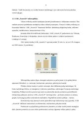 UAB „Assorti.Lt“ marketingo veiklos analizė 6 puslapis