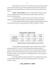 UAB „Assorti.Lt“ marketingo veiklos analizė 9 puslapis