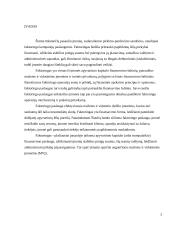 faktoringo sutartis 3 puslapis