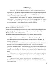 faktoringo sutartis 4 puslapis