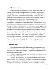 faktoringo sutartis 5 puslapis