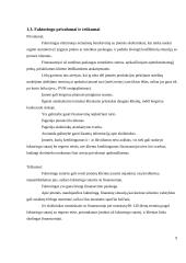 faktoringo sutartis 9 puslapis