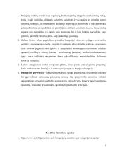 Kova su korupcija Lietuvoje 11 puslapis