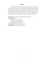 Priklausomybių priežastys 3 puslapis