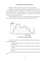 „Euro Order“ vadovo darbo laiko paskirstymo analizė 13 puslapis