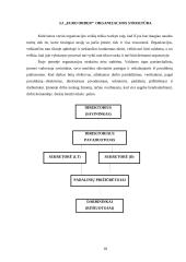 „Euro Order“ vadovo darbo laiko paskirstymo analizė 18 puslapis