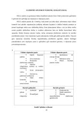 „Euro Order“ vadovo darbo laiko paskirstymo analizė 19 puslapis