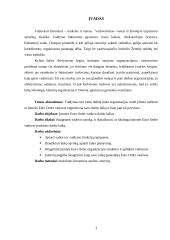 „Euro Order“ vadovo darbo laiko paskirstymo analizė 3 puslapis