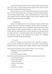 „Euro Order“ vadovo darbo laiko paskirstymo analizė 5 puslapis