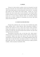 „Euro Order“ vadovo darbo laiko paskirstymo analizė 7 puslapis