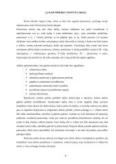 „Euro Order“ vadovo darbo laiko paskirstymo analizė 8 puslapis