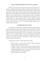 „Euro Order“ vadovo darbo laiko paskirstymo analizė 9 puslapis