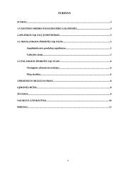 Verslininkystės pagrindų savarankiškas namų darbas 2 puslapis